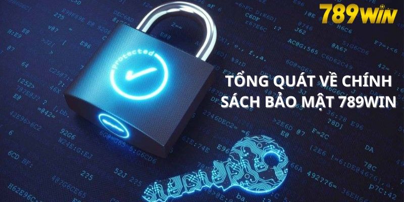 Những vấn đề tổng quan chính sách bảo mật tại 789WIN