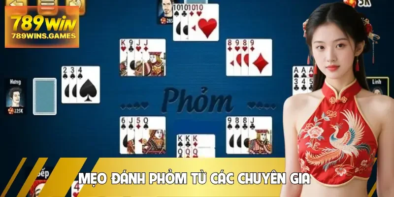 bai-phom-meo-choi