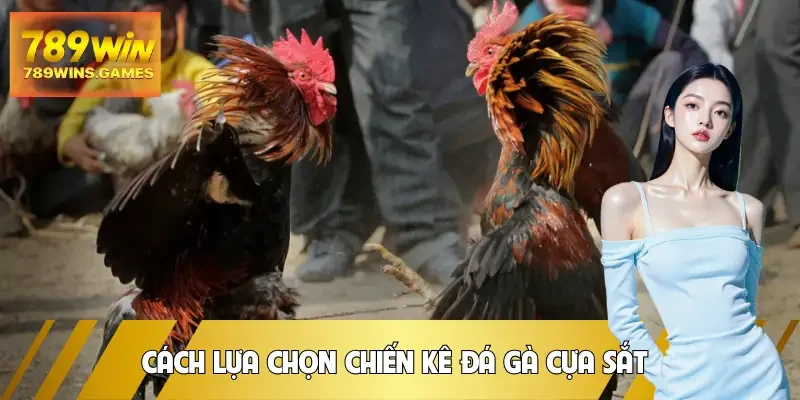 da-ga-cua-sat-cach-chon